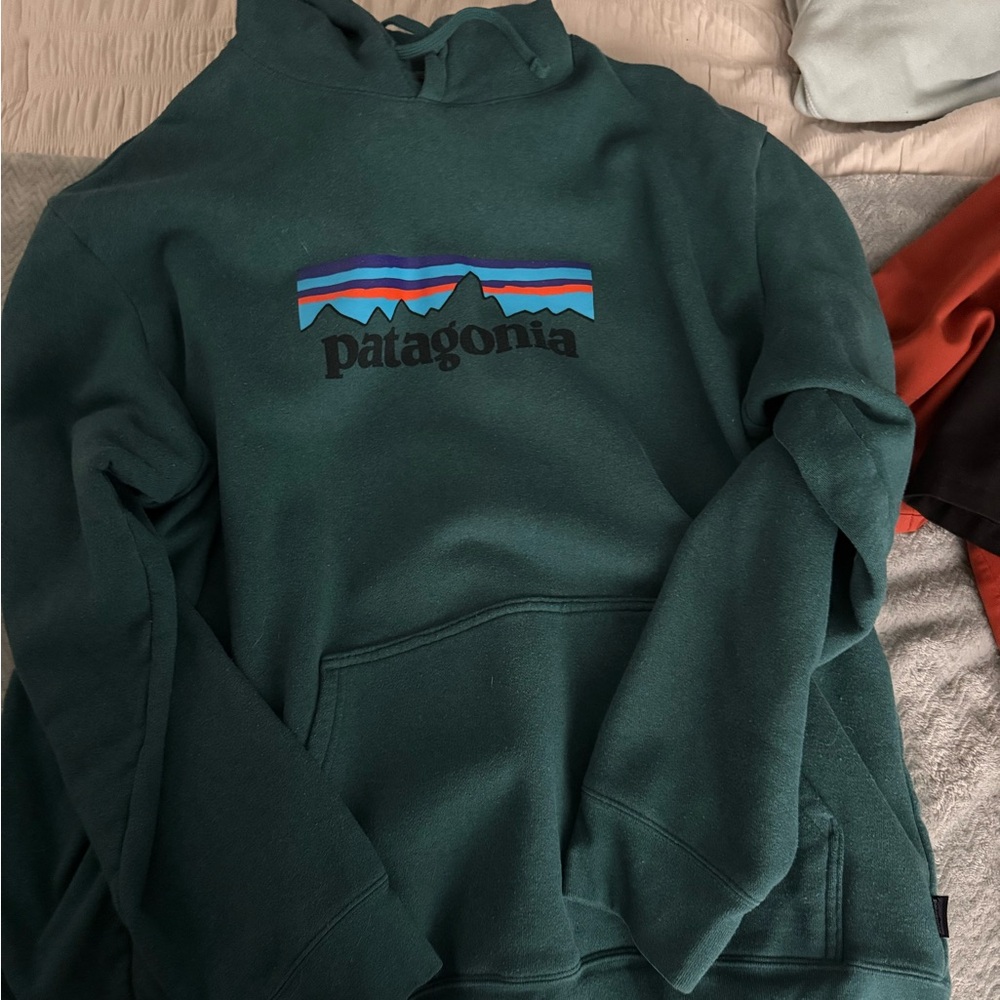 Patagonia Teal Upcycled Hoody